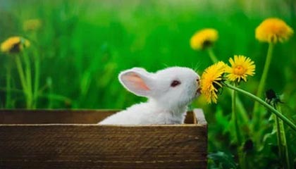 9游电竞资讯-转会截止日：五大联赛“超级交易”盘点，五大联赛转会期结束时间